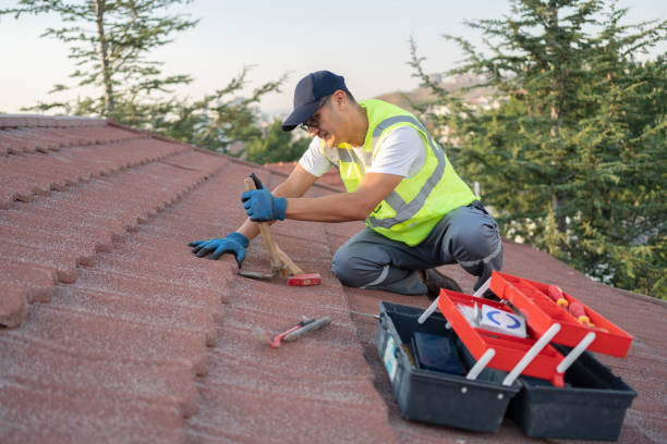 Best New Roof Installation  in Laredo, TX